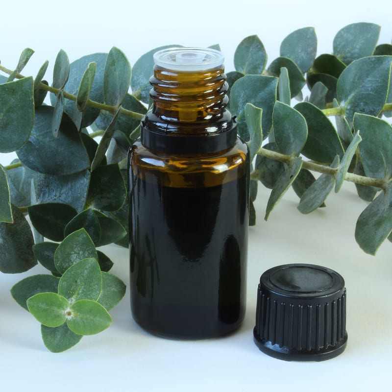 aceite-de-eucalipto Protege tu piel del sol con jabones de glicerina y tepezcohuite
